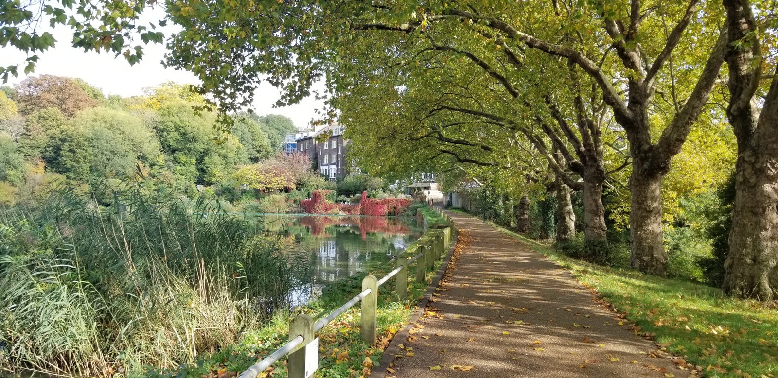 nature_park_path_london